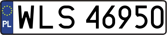WLS46950