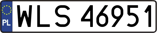WLS46951