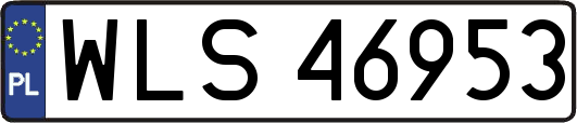 WLS46953