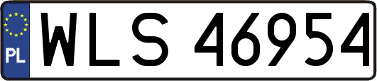 WLS46954