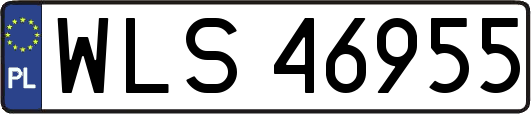 WLS46955