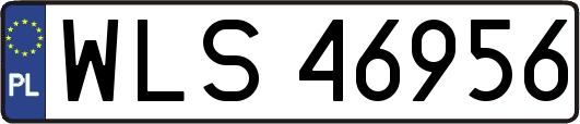 WLS46956