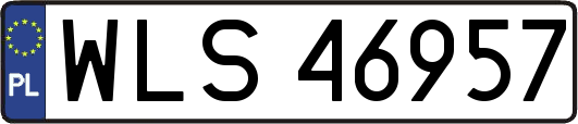 WLS46957
