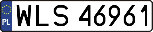 WLS46961