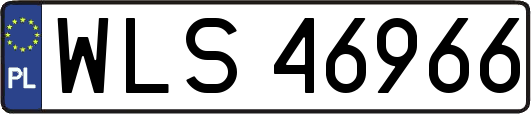 WLS46966