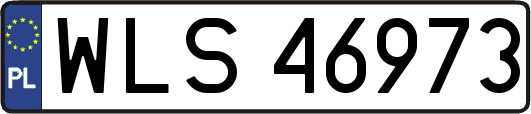 WLS46973