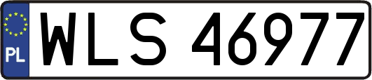 WLS46977