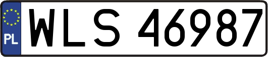 WLS46987