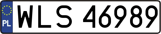 WLS46989