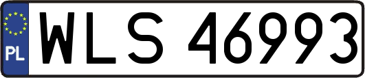 WLS46993