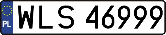 WLS46999