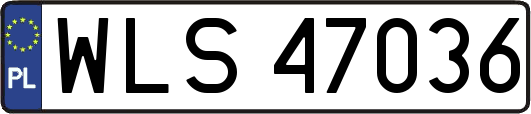 WLS47036