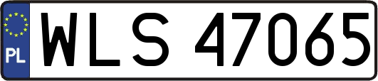WLS47065