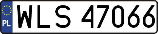 WLS47066