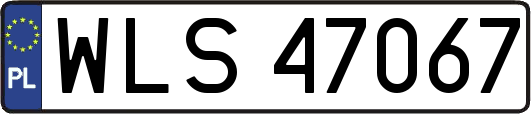 WLS47067