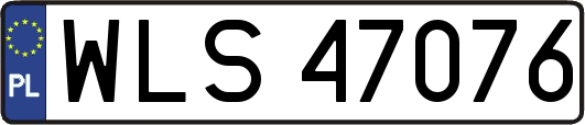 WLS47076