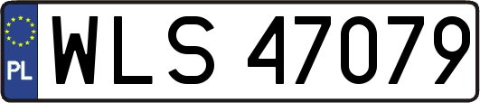 WLS47079