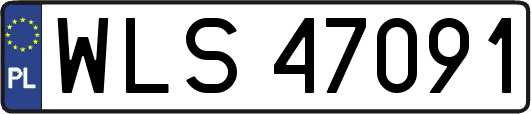 WLS47091