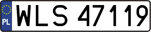 WLS47119