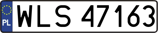 WLS47163