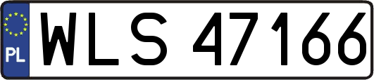 WLS47166