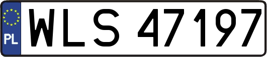 WLS47197