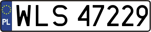 WLS47229