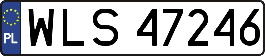 WLS47246