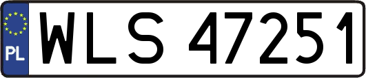 WLS47251