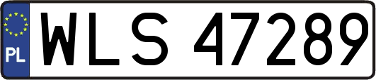 WLS47289