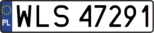 WLS47291