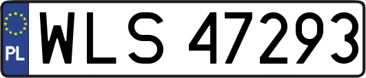 WLS47293
