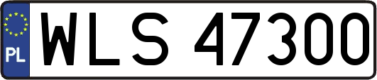 WLS47300
