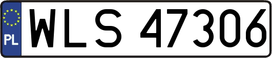 WLS47306