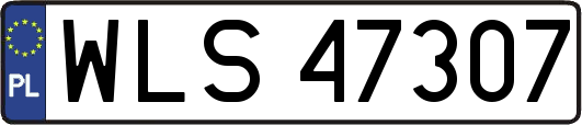 WLS47307