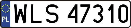 WLS47310