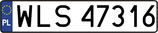 WLS47316