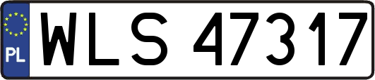 WLS47317