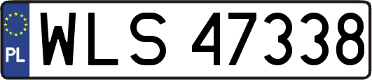 WLS47338