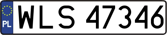 WLS47346