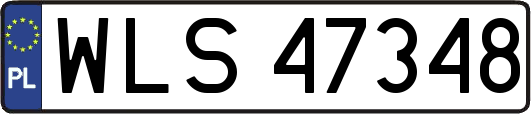 WLS47348