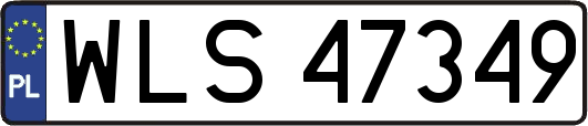 WLS47349