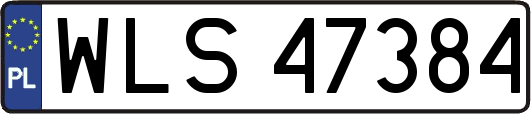 WLS47384