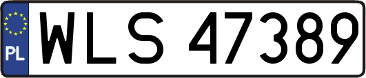WLS47389