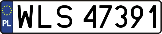 WLS47391