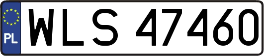 WLS47460