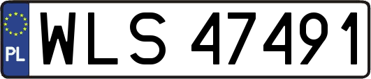 WLS47491