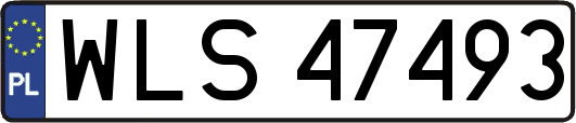 WLS47493