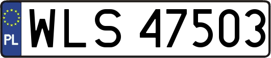 WLS47503