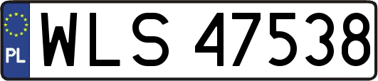 WLS47538